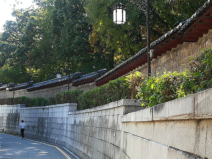 율고 이미지