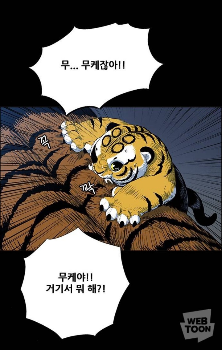 호랑이 형님 속 애기냥이 무케 모음 | 인스티즈