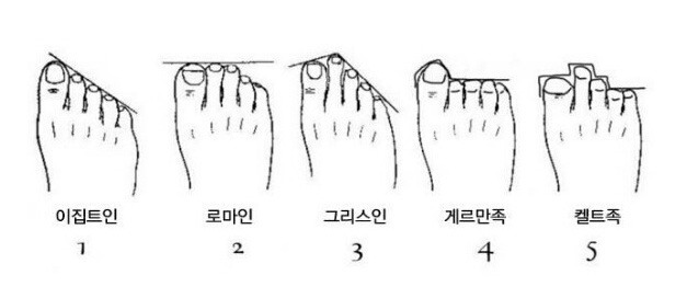당신의 발가락은 어떤 유형입니까?? | 인스티즈