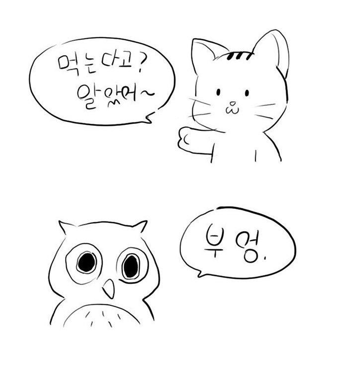 부엉이랑 중국집에 갔다.jpg | 인스티즈