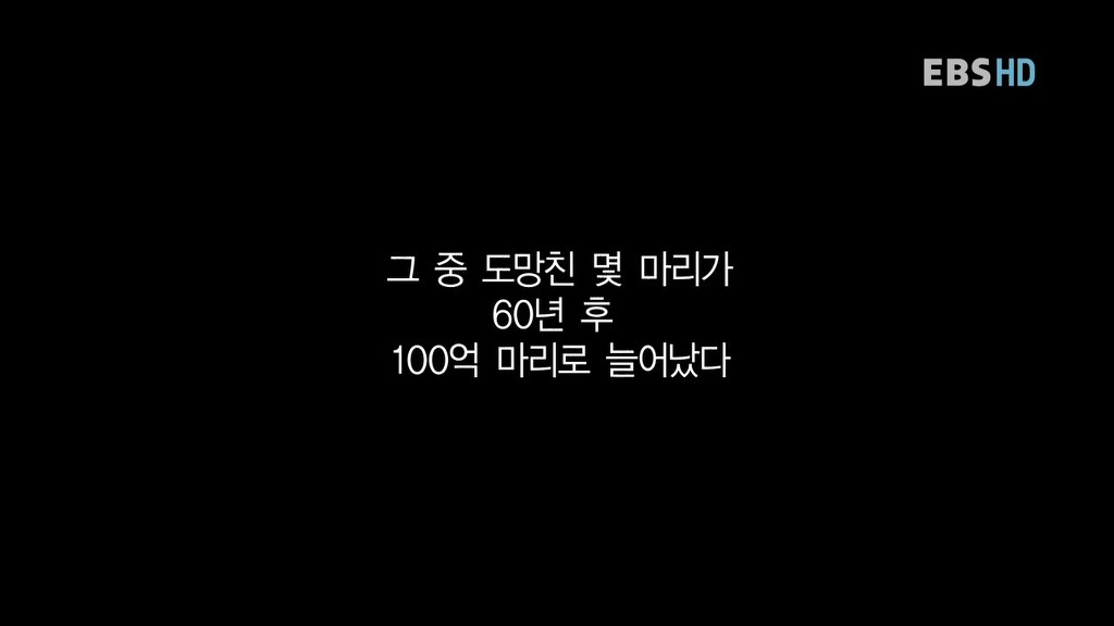 호주의 토끼전쟁 | 인스티즈