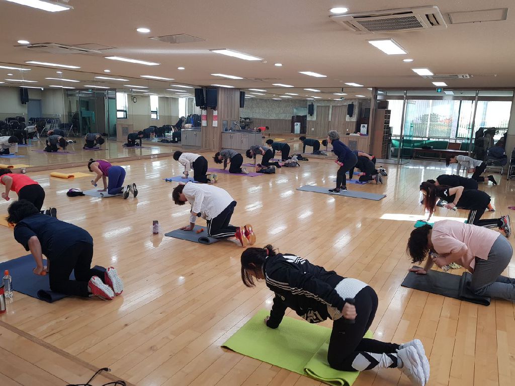 웰빙스트레칭 이미지
