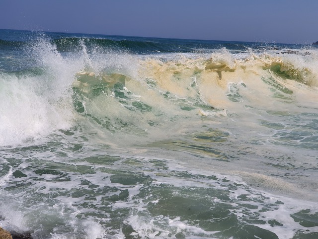 99A6F4345EACB655259874