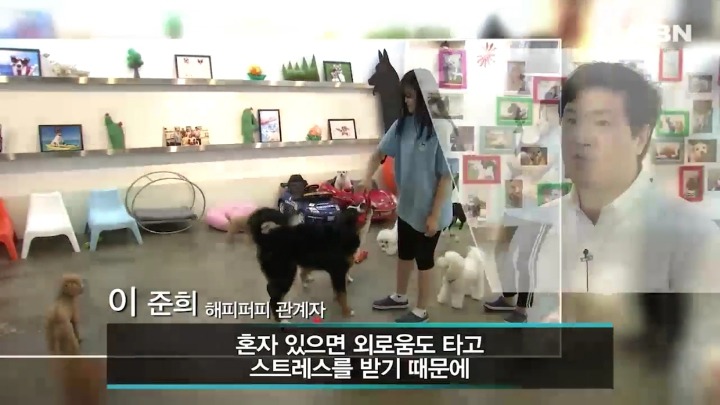 강아지 유치원 하루일과.jpg | 인스티즈