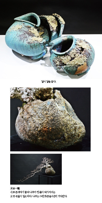 그린도예 이미지