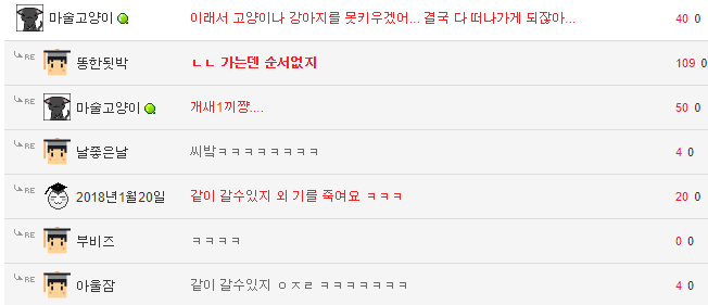 개가 늙어죽을 때 어떻게 죽는지 아나? | 인스티즈