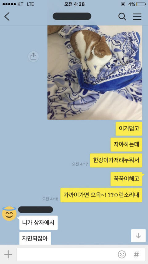 잘라는데 고양이가 내 이불 뺏어감 ; | 인스티즈