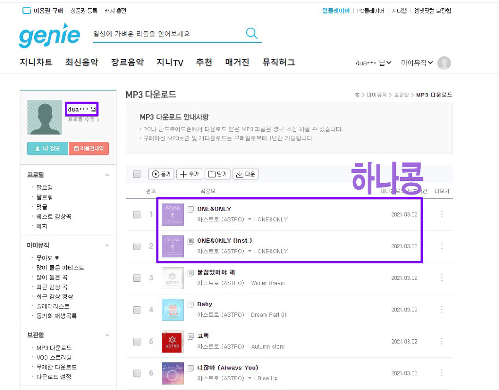 하나콩 이미지