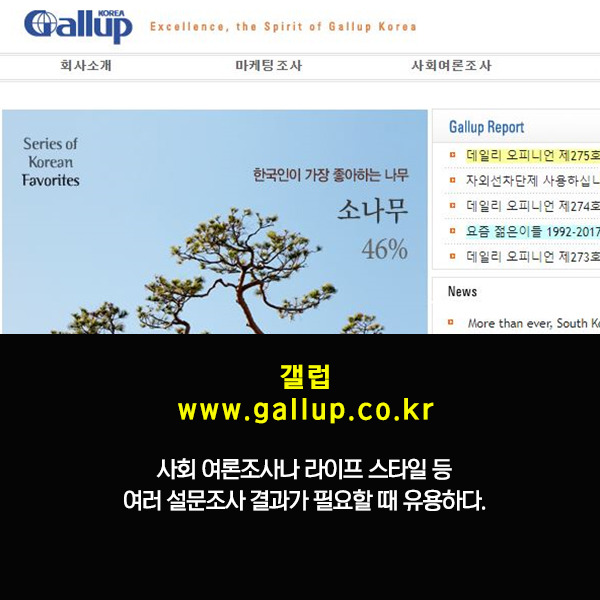 알아두면 유용한 사이트 모음 | 인스티즈