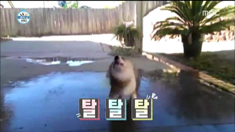 [나혼자산다] 시상식 비하인드 | 인스티즈