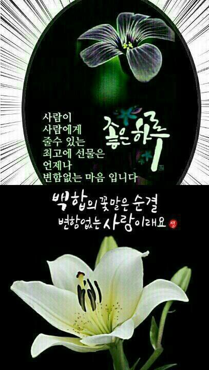 보세와차한잔 이미지