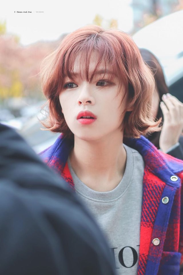 보고싶어서 올래는 랜덤 트와이스짤 | 인스티즈