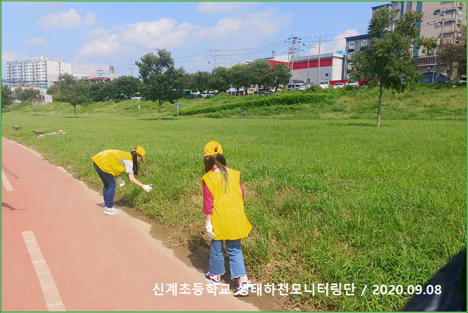 대전신계초등학교 이미지