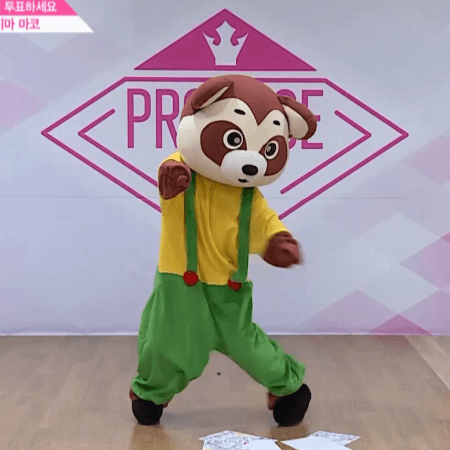 프듀48) 너구리가 있으니깐 안심 하라구.gif | 인스티즈
