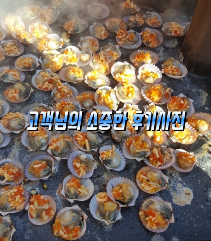 가리비 이미지