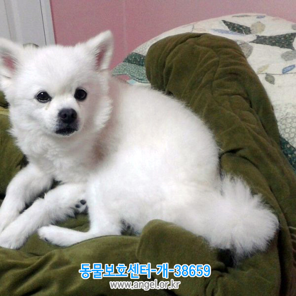 사이집 이미지