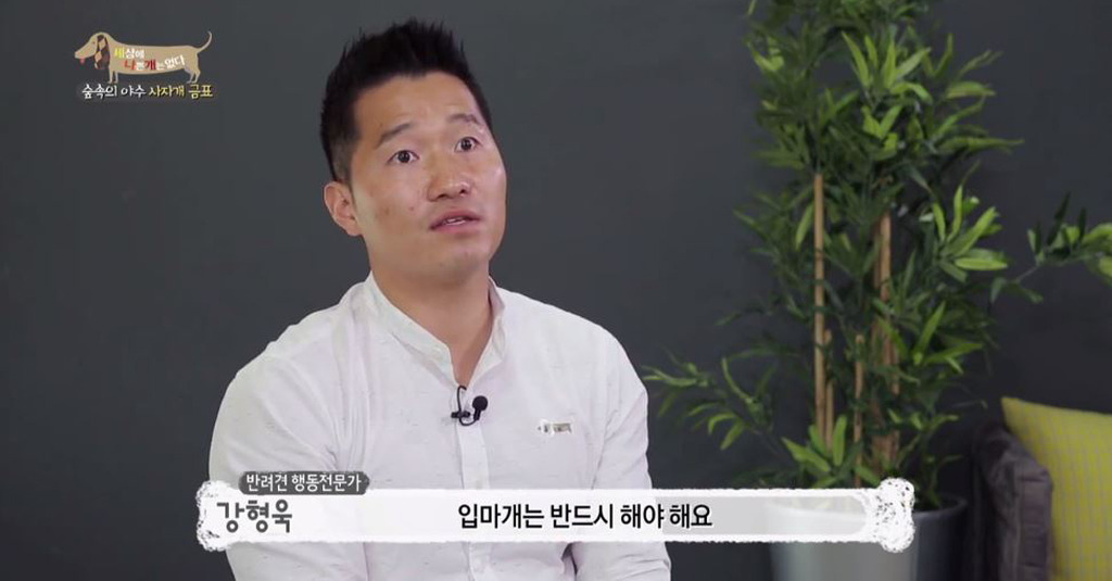 강아지 키우는 모든 사람들이 지켜야하는 것 | 인스티즈