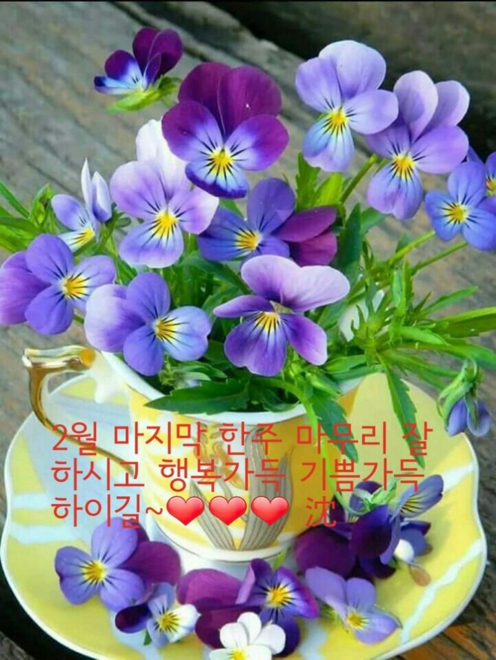 예쁜하루 이미지