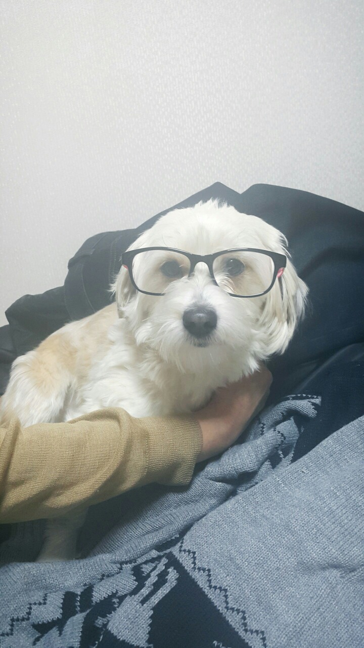 첫 영화에 실패한 감독이 있었습니다... 그러나... | 인스티즈