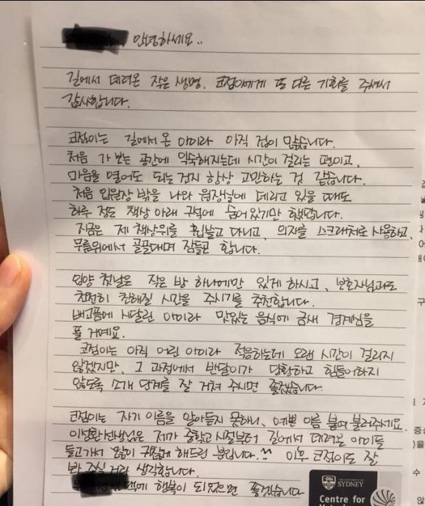 길고양이 입양한 보호자에 손편지 쓴 수의사 | 인스티즈