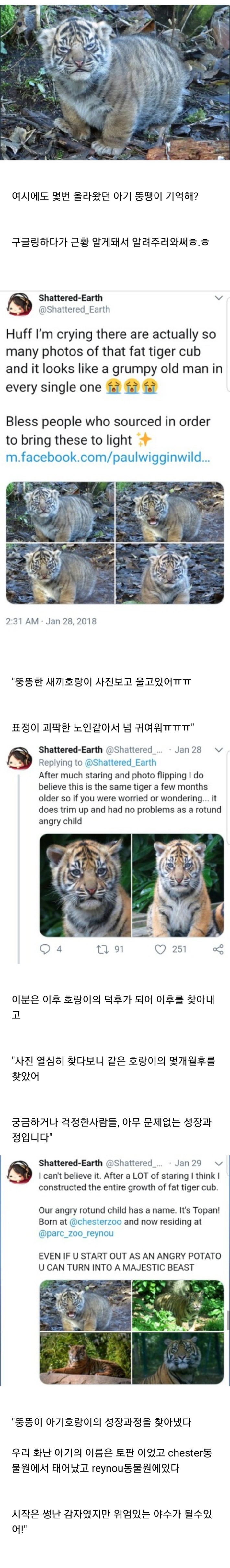 뚱뚱이 아기호랑이 근황.. | 인스티즈