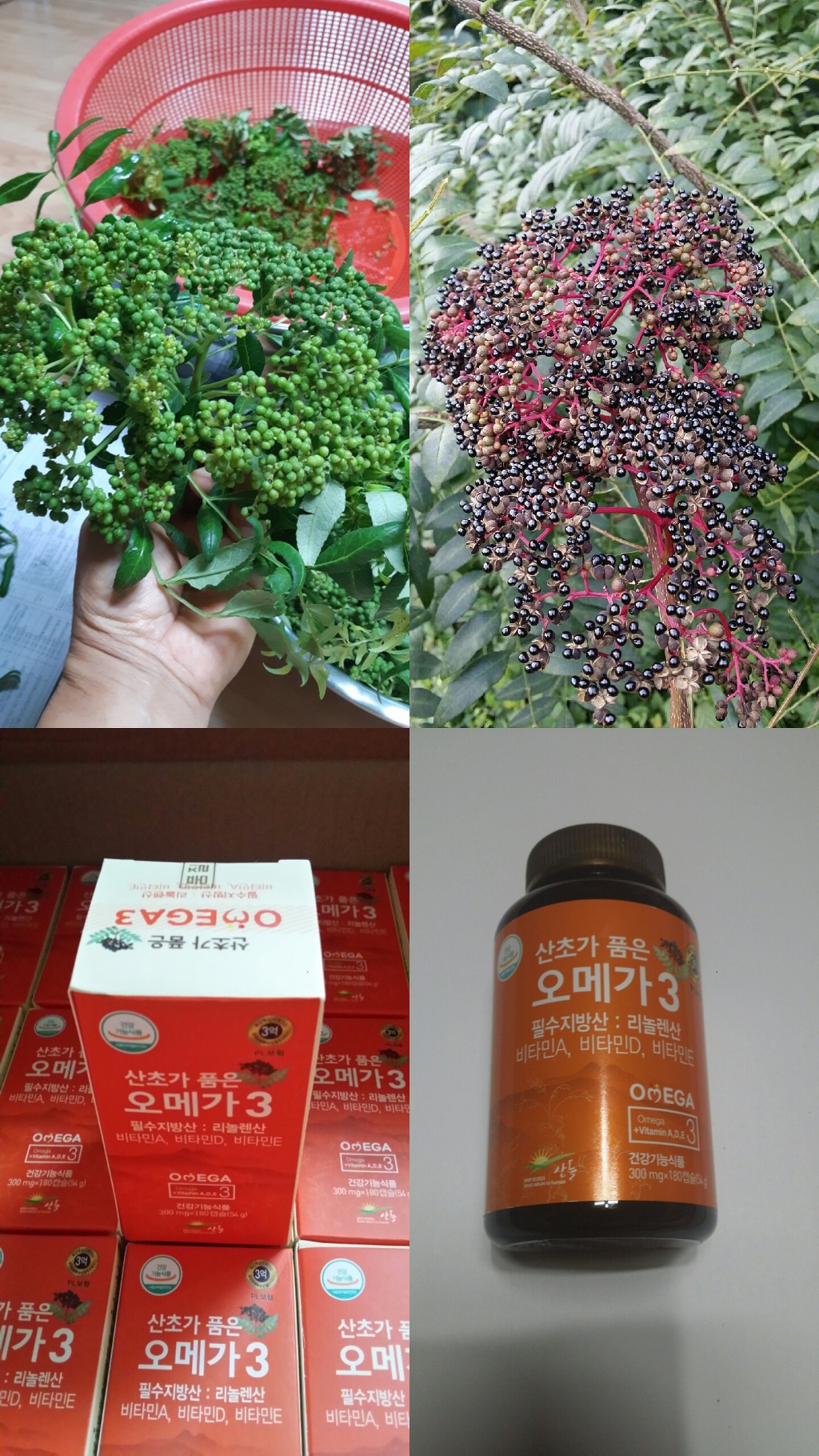 하동산초농장 이미지
