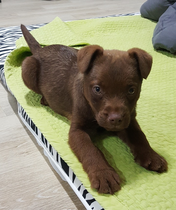 둥이 이미지