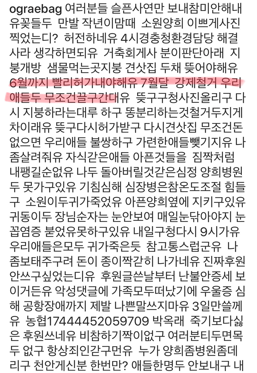 제발 한번만 봐주라,,,😢 유기됐던 댕냥이들과 함께 사는 박옥래 할머님이 많이 힘드셔 | 인스티즈