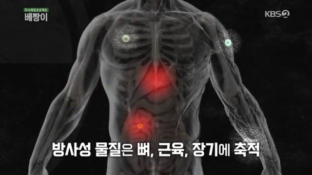 일본산 식품 먹지 않고 일본 여행 가지 않는게 좋은 이유 | 인스티즈