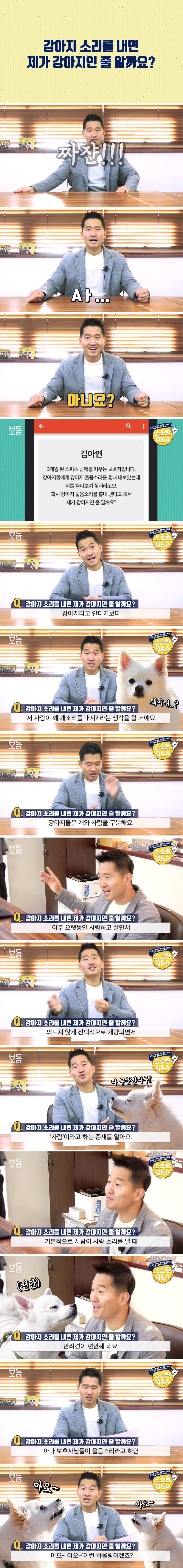  견주가 를 내면 댕댕이는 견주를 개인줄 알까? | 인스티즈