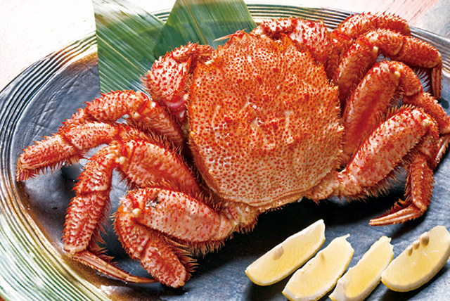 일본 각 지방의 특색있는 유명한 음식들.jpg | 인스티즈