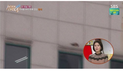 새상에 이런일이 3대 레전드.jpg | 인스티즈
