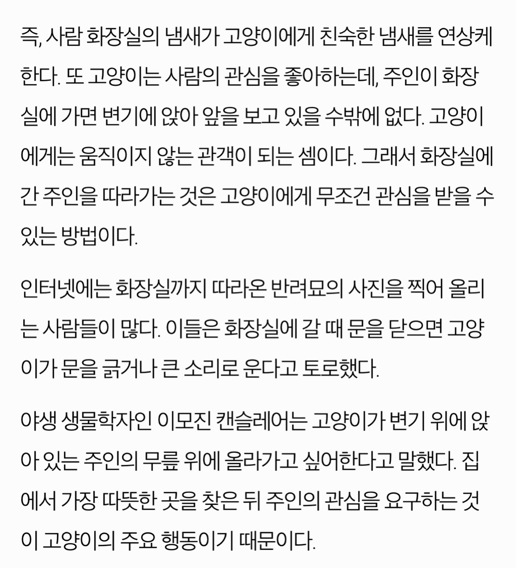 고양이는 왜 화장실까지 주인을 따라올까? | 인스티즈