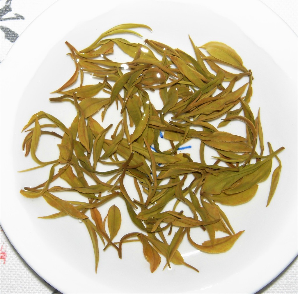 서룡 이미지
