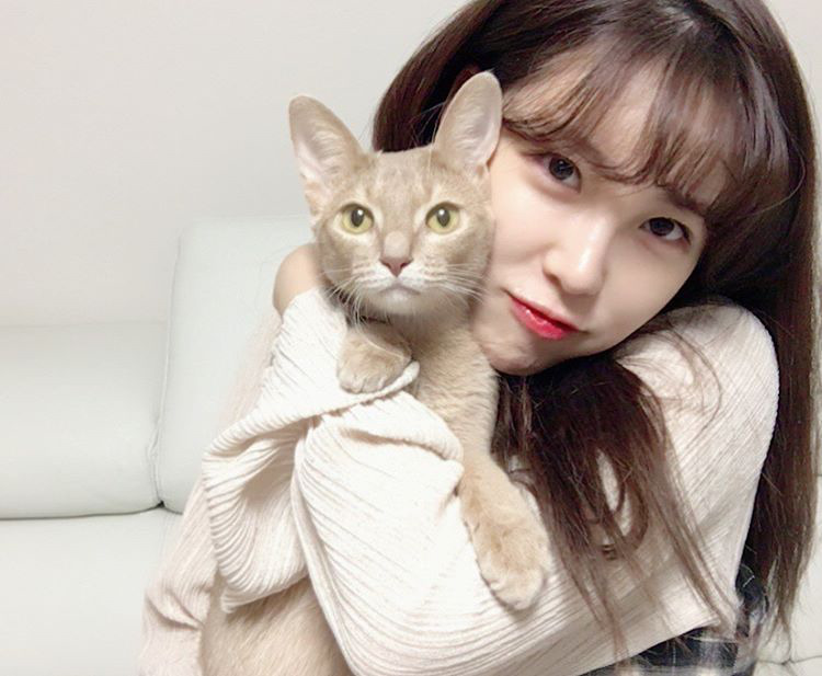 오늘자 고양이 생일파티 해준 전효성 ㅋㅋㅋㅋㅋㅋㅋㅋㅋ | 인스티즈