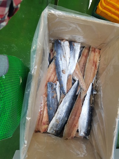 수산냉동 이미지