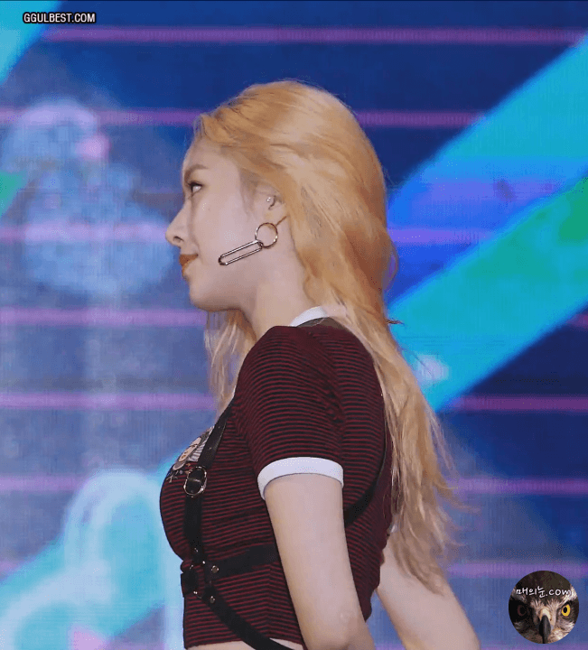 소나무 의진 ㅡㅑ.gif | 인스티즈