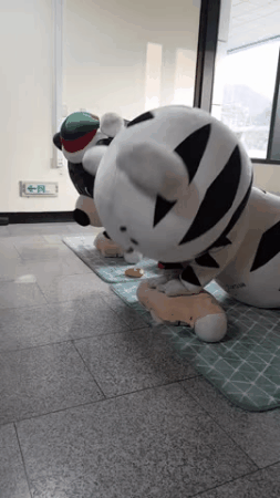 둘이서 뽀짝뽀짝 심폐소생술 연습하는 수호랑 반다비.gif | 인스티즈