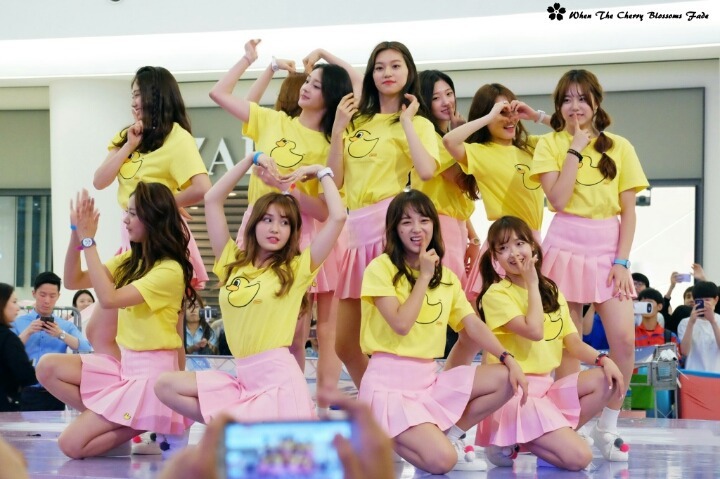 아이오아이 짤 | 인스티즈