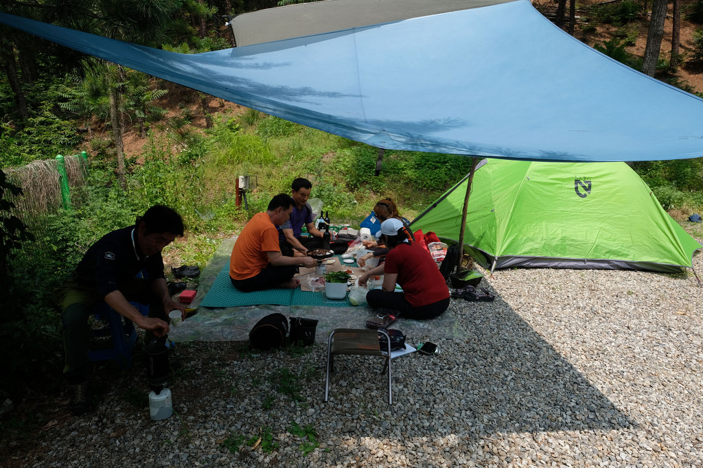 용인랜드숲속캠핑장 이미지