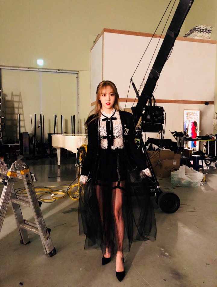 별바라기 이미지