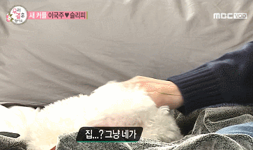 래퍼 슬리피의 반려견 김퓨리(매우 귀여움 주의).jpgif | 인스티즈