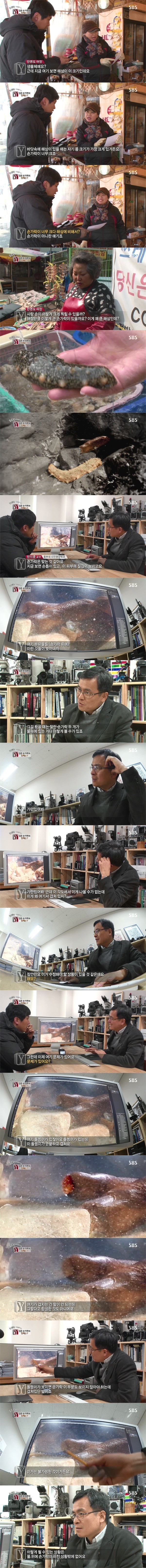 잘린손의 진실 | 인스티즈