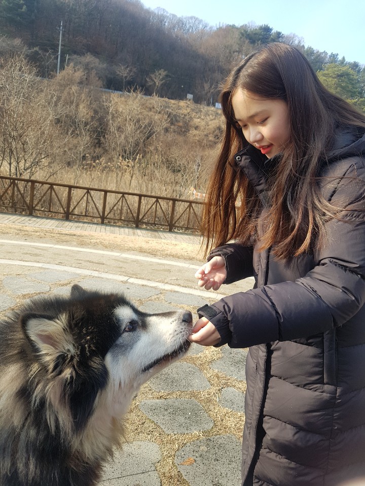 보담 이미지