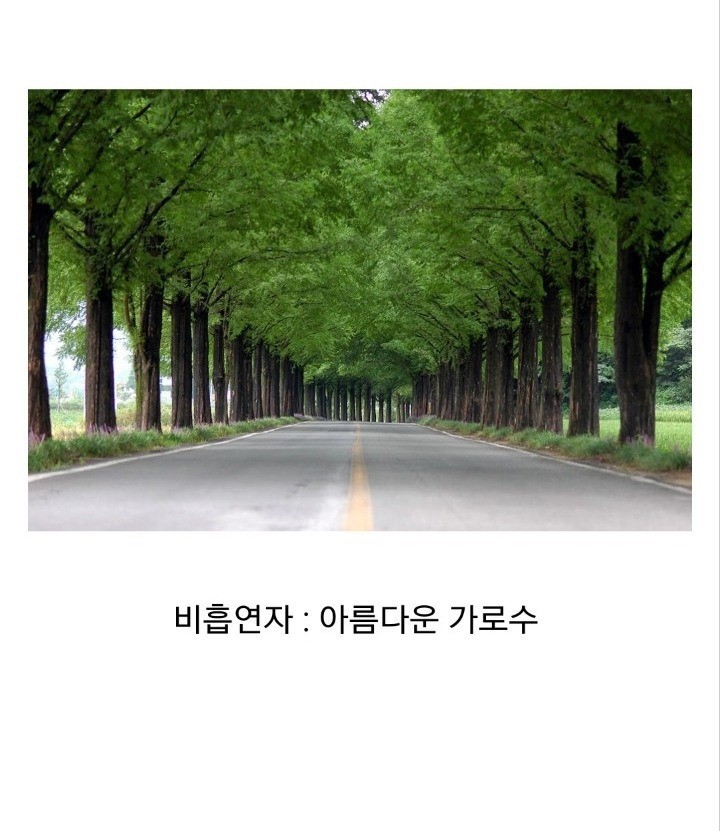 흡연자가 욕먹는 이유 jpg (길빵) | 인스티즈