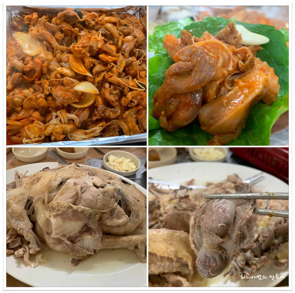 광주 촌닭코스요리 원조해남장수촌닭 - 　전 라 도　맛 집 - 전주 맛집 광주 촌닭코스요리 원조해남장수촌닭